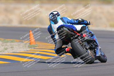 media/Oct-09-2022-SoCal Trackdays (Sun) [[95640aeeb6]]/Turn 14 Backside (1125am)/